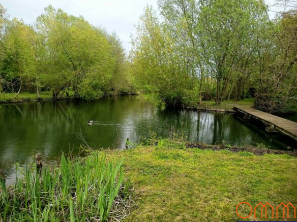 Terrain, étang et kiosque Hortillonnages Ommi agence immobilière Amiens Agence immobilière Amiens, Ommi Immobilier Amiens,